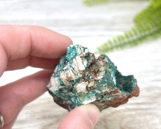 Pseudomalachite - Portugal #1