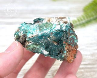 Pseudomalachite - Portugal #1