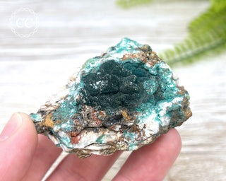 Pseudomalachite - Portugal #3