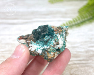 Pseudomalachite - Portugal #3