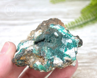 Pseudomalachite - Portugal #3
