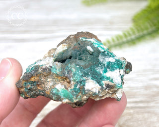 Pseudomalachite - Portugal #3