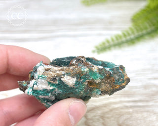 Pseudomalachite - Portugal #3
