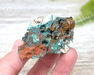 Pseudomalachite - Portugal #1