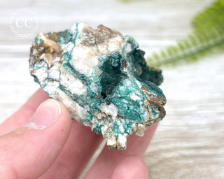 Pseudomalachite - Portugal #1