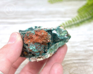 Pseudomalachite - Portugal #1