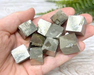 Navajun Pyrite Cubes in hand