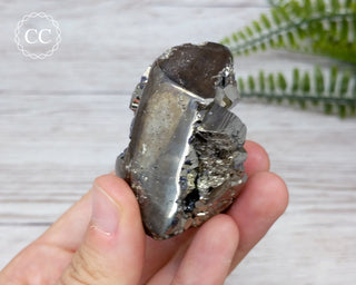 Peruvian Pyrite Freeform #7