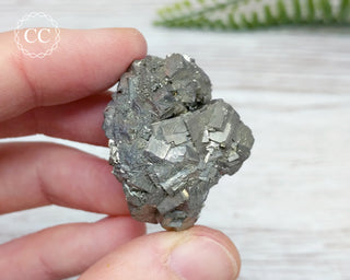 Pyrite Cluster - Morocco #1
