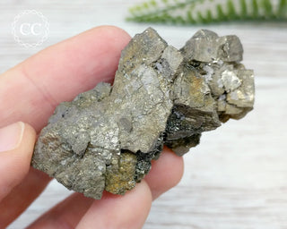 Pyrite Cluster - Morocco #5