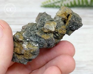 Pyrite Cluster - Morocco #5