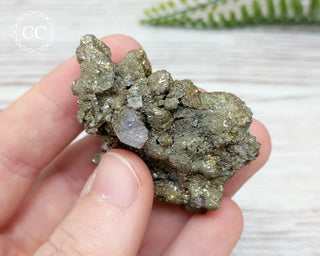 Pyrite Cluster - Morocco #6