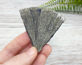 Pyrite Sun Dollar Illinois #9
