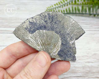 Pyrite Sun Dollar Illinois #10