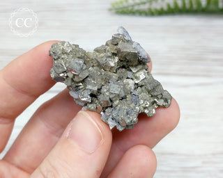 Pyrite Specimen - Morocco #24