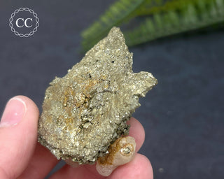 Pyrite & Calcite #2