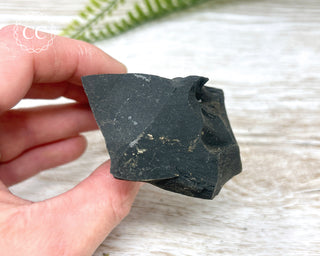 Pyrite in Shale Specimen #9
