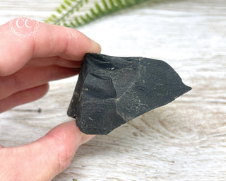 Pyrite in Shale Specimen #9