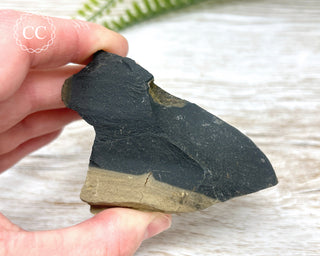 Pyrite in Shale Specimen #4