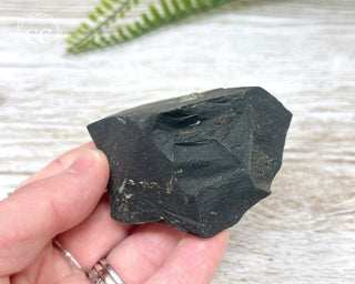 Pyrite in Shale Specimen #9