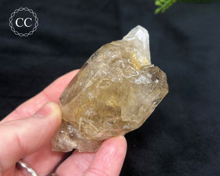 Pale Smoky Quartz #5