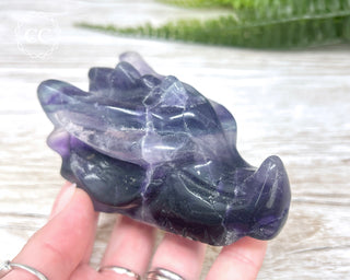 Rainbow Fluorite Dragon Skull #3