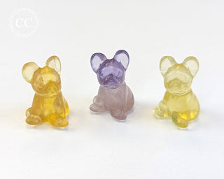 Rainbow Fluorite Mini Bulldog