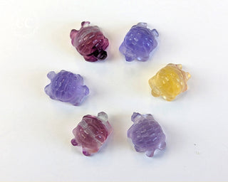 Rainbow Fluorite Mini Turtles