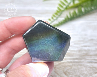 Rainbow Obsidian Freeform #1