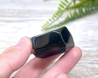 Rainbow Obsidian Freeform #1