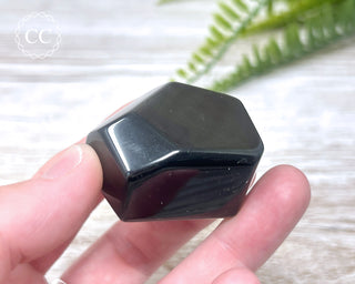 Rainbow Obsidian Freeform #1