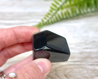 Rainbow Obsidian Freeform #12