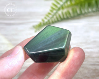 Rainbow Obsidian Freeform #13