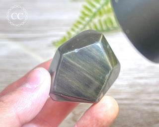 Rainbow Obsidian Freeform #14