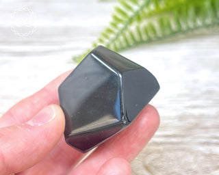 Rainbow Obsidian Freeform #14