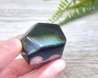 Rainbow Obsidian Freeform #1