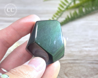 Rainbow Obsidian Freeform #1