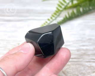 Rainbow Obsidian Freeform #6