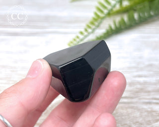 Rainbow Obsidian Freeform #6