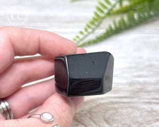 Rainbow Obsidian Freeform #6