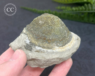 Rainbow Pyrite #2