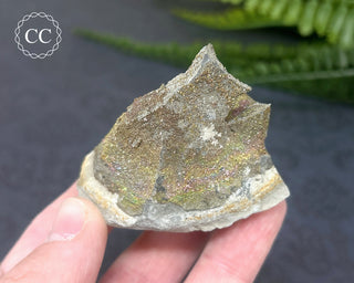 Rainbow Pyrite #10