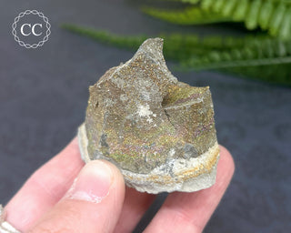 Rainbow Pyrite #10