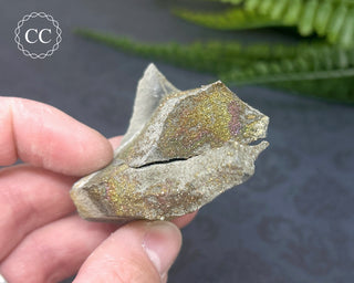 Rainbow Pyrite #10