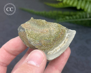 Rainbow Pyrite #11