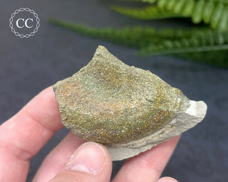 Rainbow Pyrite #11