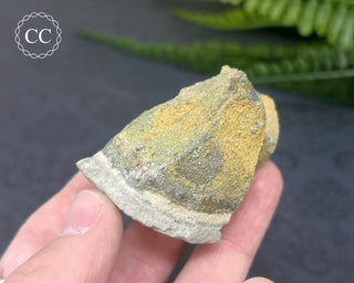 Rainbow Pyrite #11