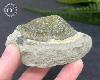 Rainbow Pyrite #2