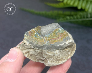 Rainbow Pyrite #13