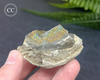 Rainbow Pyrite #13
